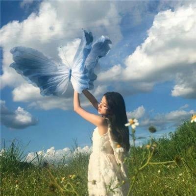 头部网红抄袭被举报，整整一周内幕曝光，投资人震怒